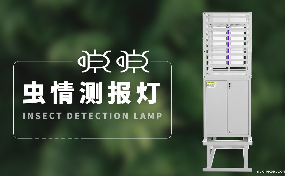 Betway·必威(西汉姆联)唯一官方网站