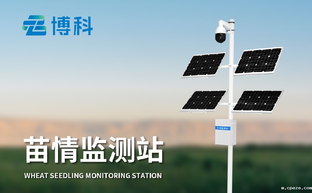 苗情监测系统 苗情监测系统