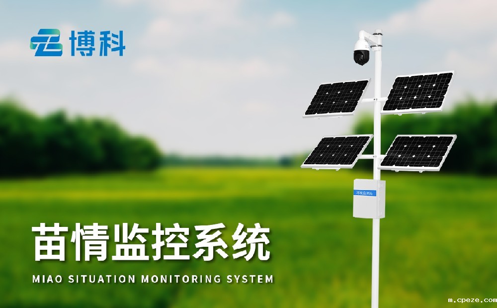 水稻苗情监测站