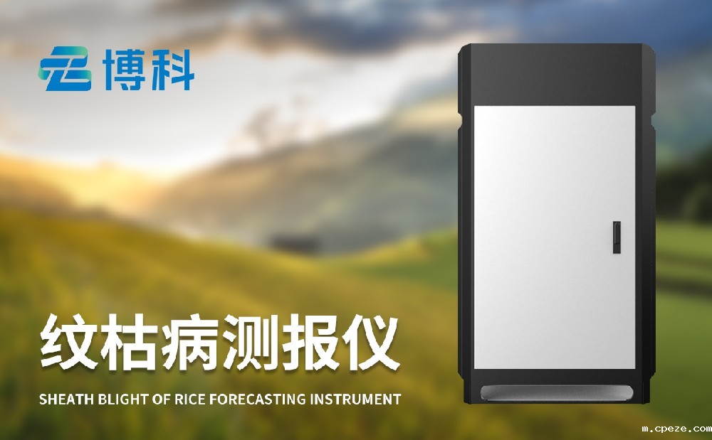 水稻纹枯病监测仪